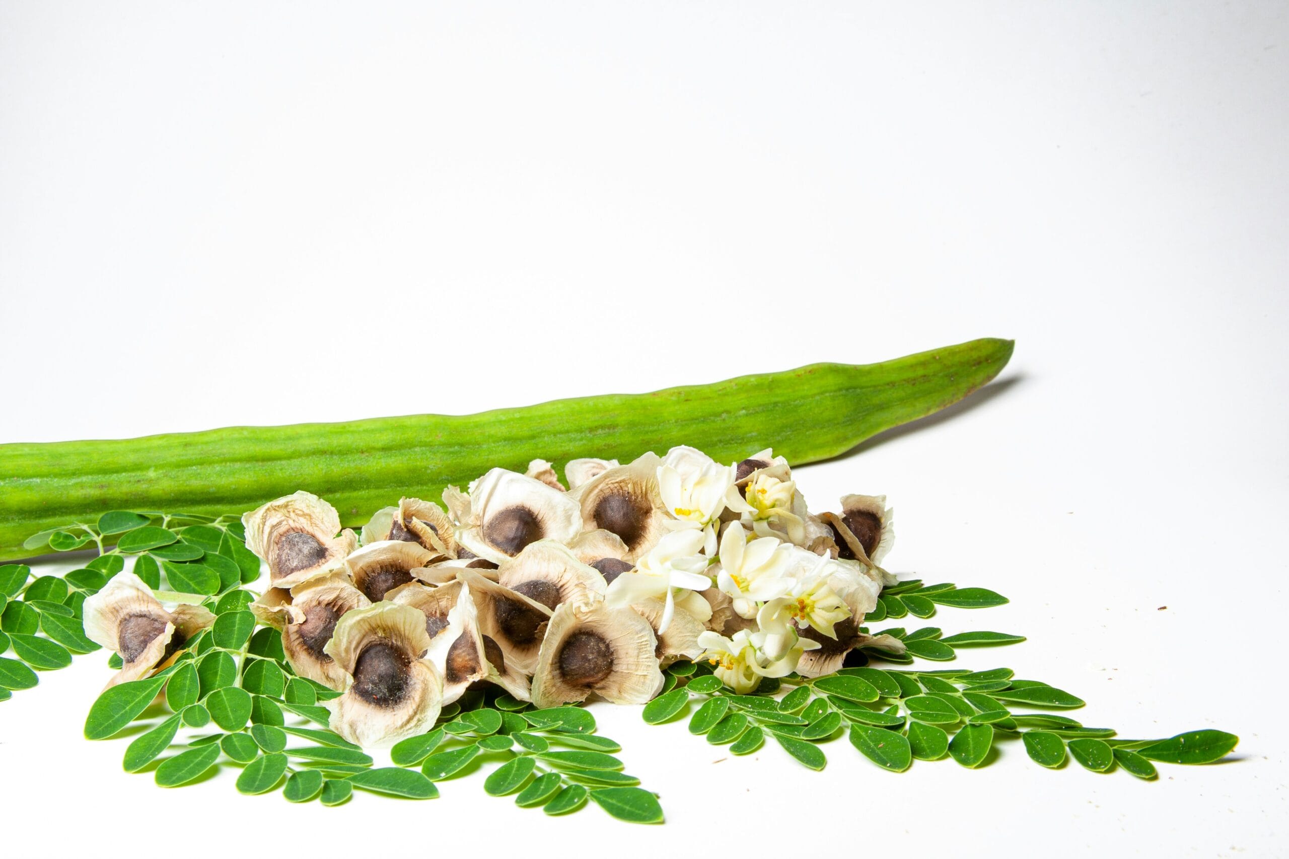 adrian-dale-chExmKr8lEY-unsplash Moringa pods and leaves arrangement.