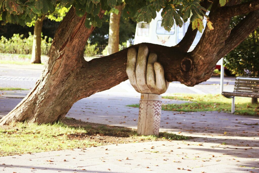An arm supporting a tree branch showing practical daily protocol for gut health support
